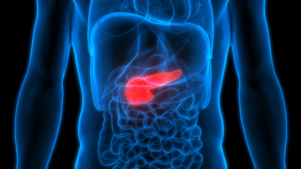 Human Body Organs Anatomy Pancreas - MISPI | Minimally Invasive Spine and Pain Institute